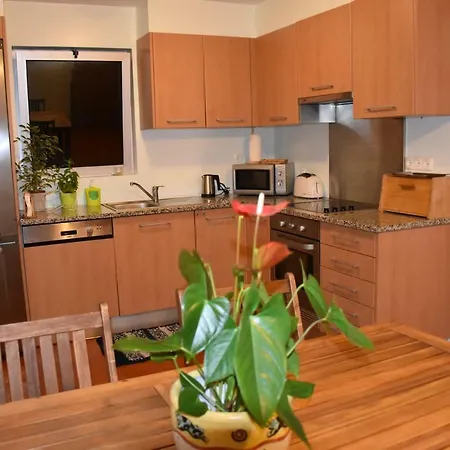 Camellia House Ubytování v soukromí Caloura