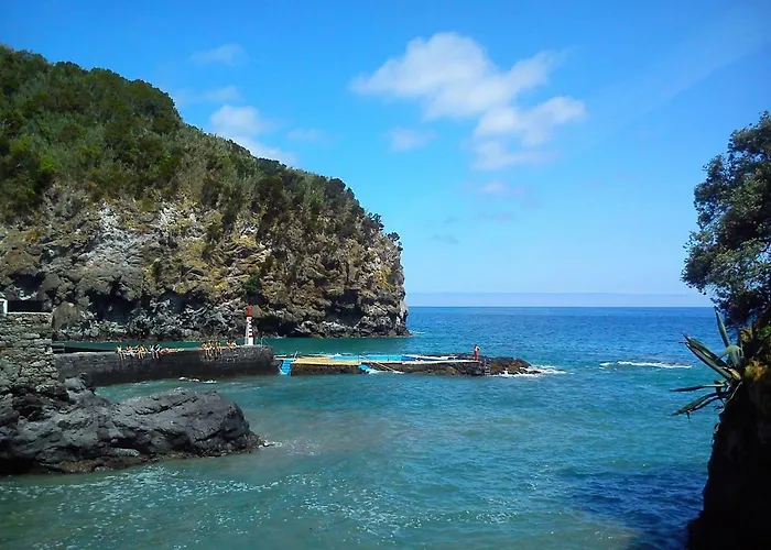 Homestay Camellia House